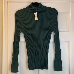 NWT Dark Green Ribbed Turtle Neck